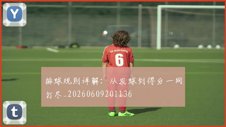 排球规则详解：从发球到得分一网打尽_20260609201136