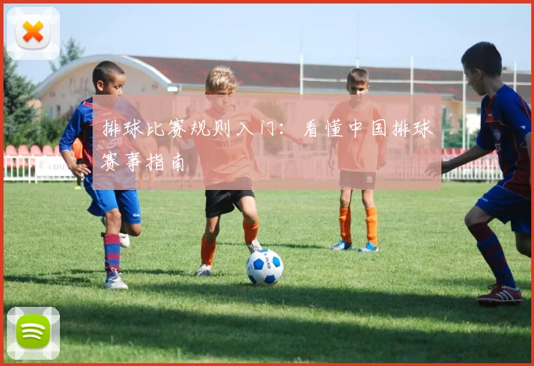 排球比赛规则入门：看懂中国排球赛事指南